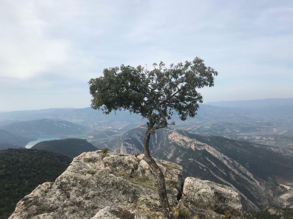 Apartamento Cinca Pirineo En Aínsa Екстериор снимка